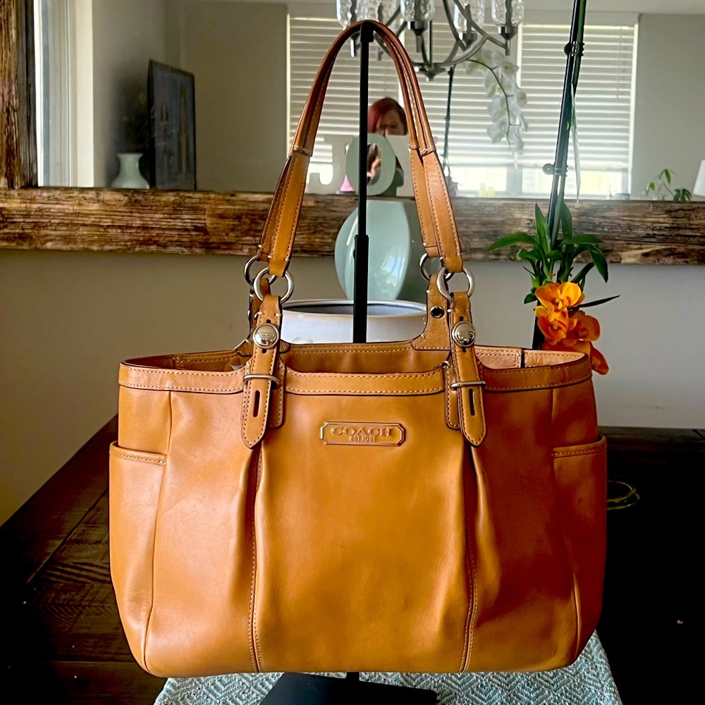 🌺Coach Bag